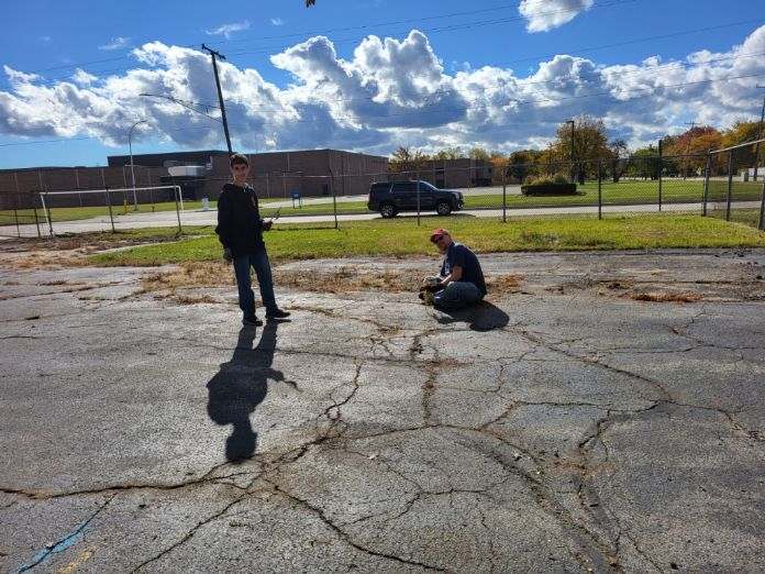 Backyard cleanup progress